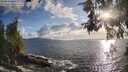 ./images/koeye/fitz-hugh/20260529/fitz-hugh20260529_192001M.jpg