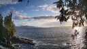 ./images/koeye/fitz-hugh/20260529/fitz-hugh20260529_195001M.jpg