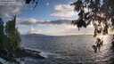 ./images/koeye/fitz-hugh/20260529/fitz-hugh20260529_195501M.jpg
