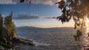 ./images/koeye/fitz-hugh/20260529/fitz-hugh20260529_204502M.jpg