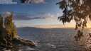 ./images/koeye/fitz-hugh/20260529/fitz-hugh20260529_205502M.jpg