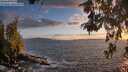 ./images/koeye/fitz-hugh/20260529/fitz-hugh20260529_210501M.jpg