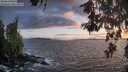 ./images/koeye/fitz-hugh/20260529/fitz-hugh20260529_211501M.jpg