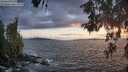 ./images/koeye/fitz-hugh/20260529/fitz-hugh20260529_212501M.jpg