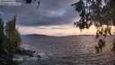 ./images/koeye/fitz-hugh/20260529/fitz-hugh20260529_215002M.jpg