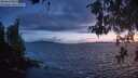 ./images/koeye/fitz-hugh/20260529/fitz-hugh20260529_221501M.jpg