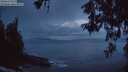 ./images/koeye/fitz-hugh/20260530/fitz-hugh20260530_043501M.jpg
