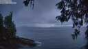 ./images/koeye/fitz-hugh/20260530/fitz-hugh20260530_045501M.jpg
