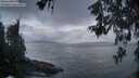 ./images/koeye/fitz-hugh/20260530/fitz-hugh20260530_051502M.jpg