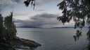 ./images/koeye/fitz-hugh/20260530/fitz-hugh20260530_053002M.jpg