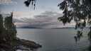 ./images/koeye/fitz-hugh/20260530/fitz-hugh20260530_053501M.jpg