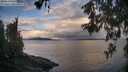 ./images/koeye/fitz-hugh/20260530/fitz-hugh20260530_061501M.jpg