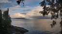 ./images/koeye/fitz-hugh/20260530/fitz-hugh20260530_062501M.jpg