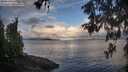 ./images/koeye/fitz-hugh/20260530/fitz-hugh20260530_063501M.jpg