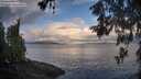 ./images/koeye/fitz-hugh/20260530/fitz-hugh20260530_064001M.jpg