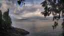 ./images/koeye/fitz-hugh/20260530/fitz-hugh20260530_065501M.jpg
