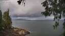 ./images/koeye/fitz-hugh/20260530/fitz-hugh20260530_081001M.jpg