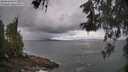 ./images/koeye/fitz-hugh/20260530/fitz-hugh20260530_084002M.jpg