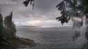 ./images/koeye/fitz-hugh/20260530/fitz-hugh20260530_093501M.jpg