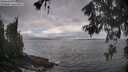 ./images/koeye/fitz-hugh/20260530/fitz-hugh20260530_094502M.jpg