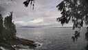 ./images/koeye/fitz-hugh/20260530/fitz-hugh20260530_095002M.jpg