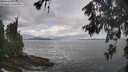 ./images/koeye/fitz-hugh/20260530/fitz-hugh20260530_095501M.jpg