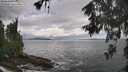 ./images/koeye/fitz-hugh/20260530/fitz-hugh20260530_100002M.jpg