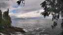 ./images/koeye/fitz-hugh/20260530/fitz-hugh20260530_100501M.jpg