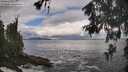 ./images/koeye/fitz-hugh/20260530/fitz-hugh20260530_101001M.jpg