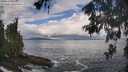 ./images/koeye/fitz-hugh/20260530/fitz-hugh20260530_101501M.jpg