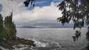 ./images/koeye/fitz-hugh/20260530/fitz-hugh20260530_103001M.jpg