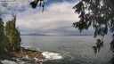 ./images/koeye/fitz-hugh/20260530/fitz-hugh20260530_103501M.jpg