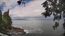 ./images/koeye/fitz-hugh/20260530/fitz-hugh20260530_104001M.jpg