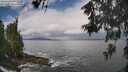 ./images/koeye/fitz-hugh/20260530/fitz-hugh20260530_104502M.jpg
