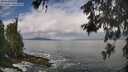 ./images/koeye/fitz-hugh/20260530/fitz-hugh20260530_105001M.jpg