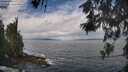 ./images/koeye/fitz-hugh/20260530/fitz-hugh20260530_110002M.jpg
