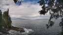 ./images/koeye/fitz-hugh/20260530/fitz-hugh20260530_111001M.jpg