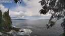 ./images/koeye/fitz-hugh/20260530/fitz-hugh20260530_112501M.jpg