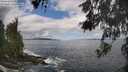 ./images/koeye/fitz-hugh/20260530/fitz-hugh20260530_113501M.jpg