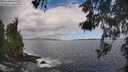 ./images/koeye/fitz-hugh/20260530/fitz-hugh20260530_114501M.jpg