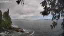 ./images/koeye/fitz-hugh/20260530/fitz-hugh20260530_115501M.jpg