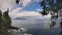./images/koeye/fitz-hugh/20260530/fitz-hugh20260530_130501M.jpg