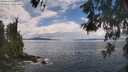 ./images/koeye/fitz-hugh/20260530/fitz-hugh20260530_131001M.jpg