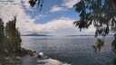 ./images/koeye/fitz-hugh/20260530/fitz-hugh20260530_131501M.jpg
