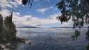 ./images/koeye/fitz-hugh/20260530/fitz-hugh20260530_133501M.jpg