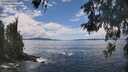 ./images/koeye/fitz-hugh/20260530/fitz-hugh20260530_134501M.jpg