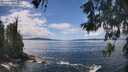 ./images/koeye/fitz-hugh/20260530/fitz-hugh20260530_135001M.jpg