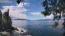 ./images/koeye/fitz-hugh/20260530/fitz-hugh20260530_135501M.jpg