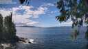 ./images/koeye/fitz-hugh/20260530/fitz-hugh20260530_140502M.jpg