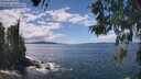 ./images/koeye/fitz-hugh/20260530/fitz-hugh20260530_141002M.jpg